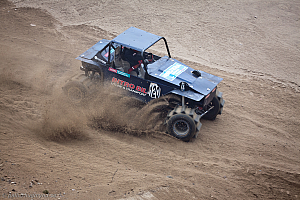 Ronny Pedersen, Troll