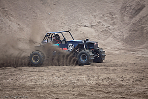 Ronny Pedersen, Troll