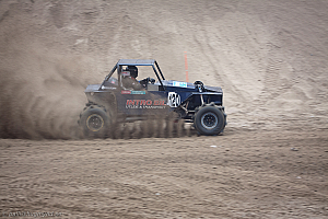 Ronny Pedersen, Troll