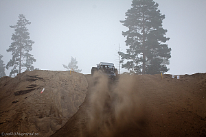 Ronny Pedersen, Troll