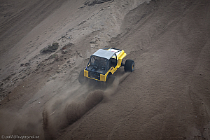 Paul Bjørnerud, Brutus