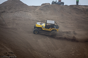 Paul Bjørnerud, Brutus