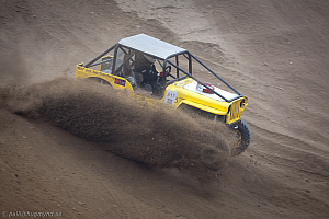 Paul Bjørnerud, Brutus