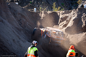 Martin Michaelsen, Insane