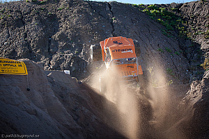 Martin Michaelsen, Insane