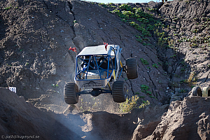  Michael Berg, Rosinen