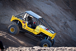 Paul Bjørnerud, Brutus