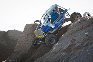 Mikal Johnsen, Pegasus