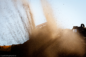 Martin Michaelsen, Insane