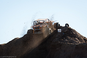 Martin Michaelsen, Insane