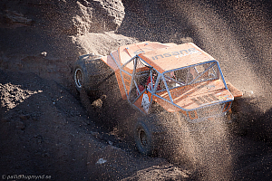 Martin Michaelsen, Insane