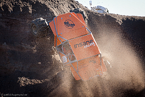 Martin Michaelsen, Insane