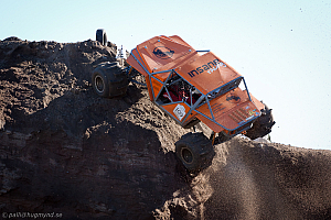 Martin Michaelsen, Insane