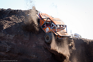 Martin Michaelsen, Insane