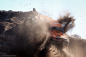 Martin Michaelsen, Insane