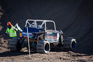 Ronny Pedersen, Troll