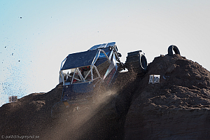 Ronny Pedersen, Troll