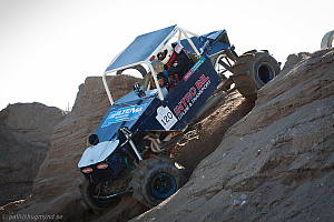 Ronny Pedersen, Troll