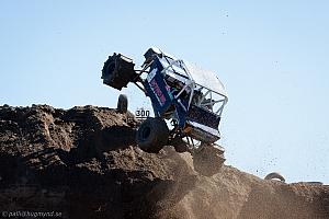 Ronny Pedersen, Troll