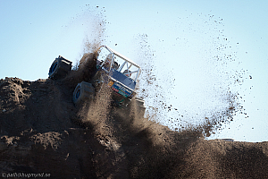 Ronny Pedersen, Troll