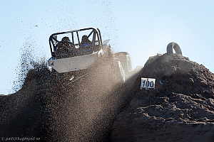 Arne Larsson, Gremlin