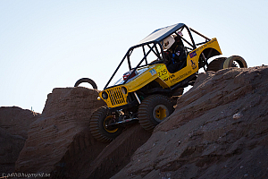 Paul Bjørnerud, Brutus