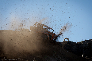 Martin Michaelsen, Insane