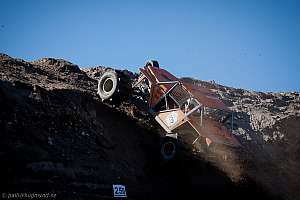 Martin Michaelsen, Insane