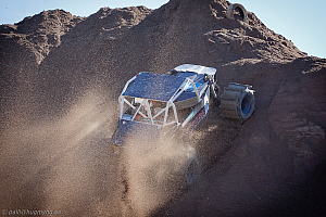 Ronny Pedersen, Troll