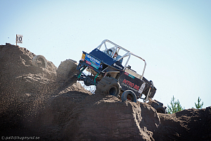 Ronny Pedersen, Troll