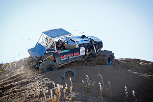 Ronny Pedersen, Troll