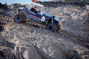 Ronny Pedersen, Troll