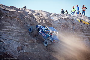 Ronny Pedersen, Troll