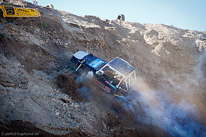 Ronny Pedersen, Troll