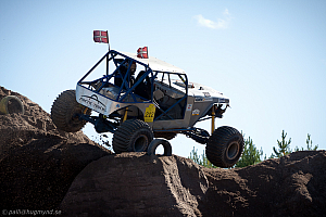 Michael Berg, Rosinen