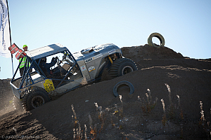 Michael Berg, Rosinen