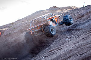 Martin Michaelsen, Insane