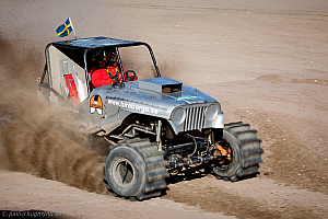 Per Anders Norstedt,T-Rex