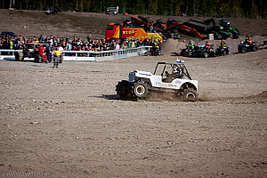 Tommi Löytynoja, Big Willys