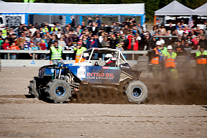 Ronny Pedersen, Troll