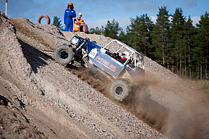 Ronny Pedersen, Troll