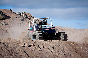 Ronny Pedersen, Troll