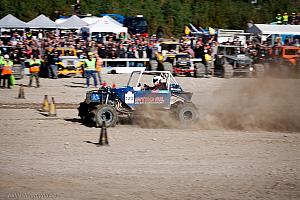 Ronny Pedersen, Troll