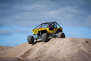 Paul Bjørnerud, Brutus