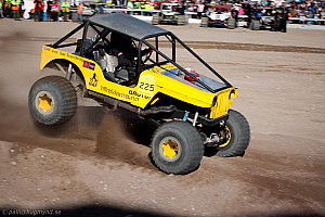 Paul Bjørnerud, Brutus