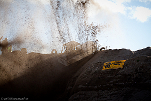 Tommi Löytynoja, Big Willys