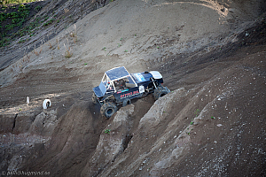 Ronny Pedersen, Troll