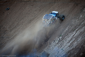 Ronny Pedersen, Troll