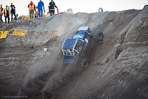 Ronny Pedersen, Troll