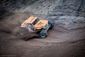 Martin Michaelsen, Insane